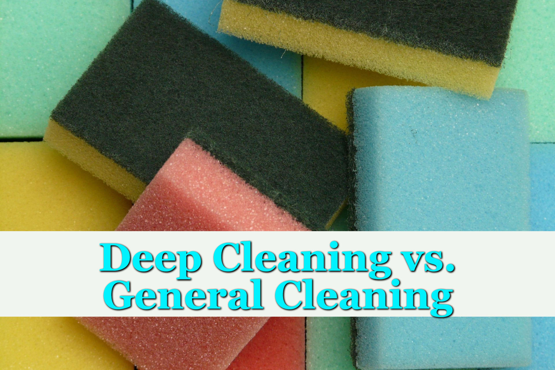 Assorted sponges for deep cleaning