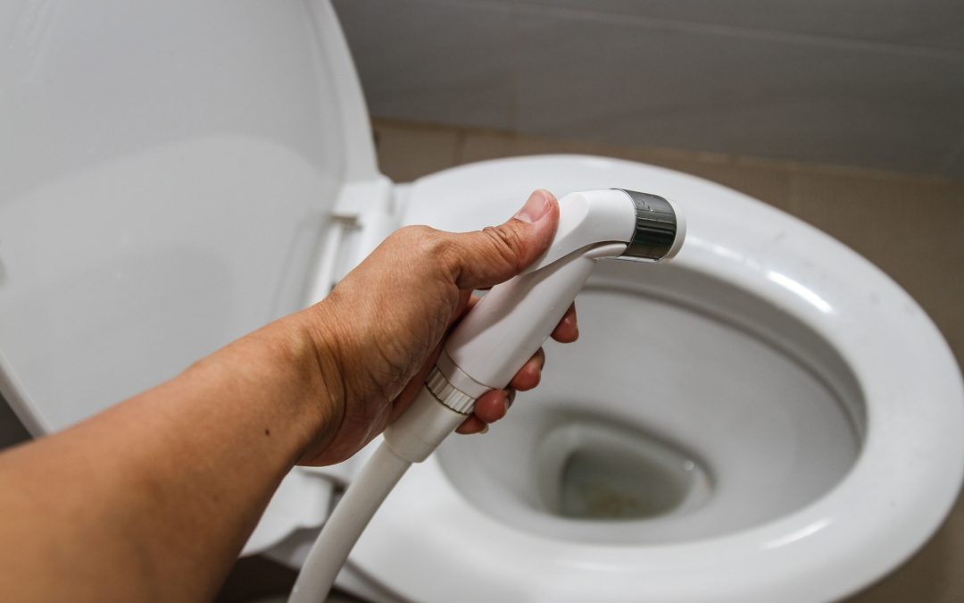 how to deep clean a toilet