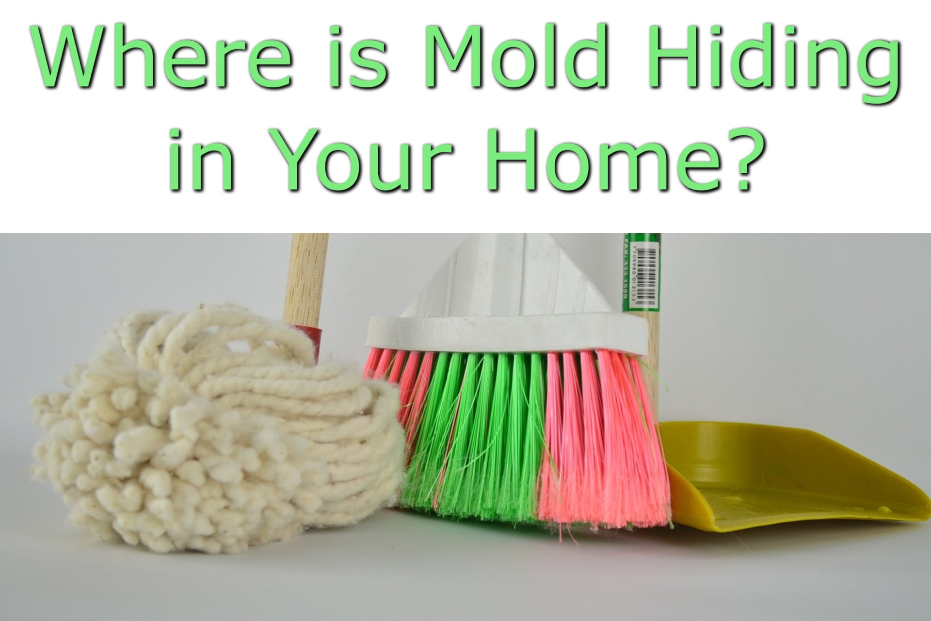 Unexpected Places Mold Hides in Your Home